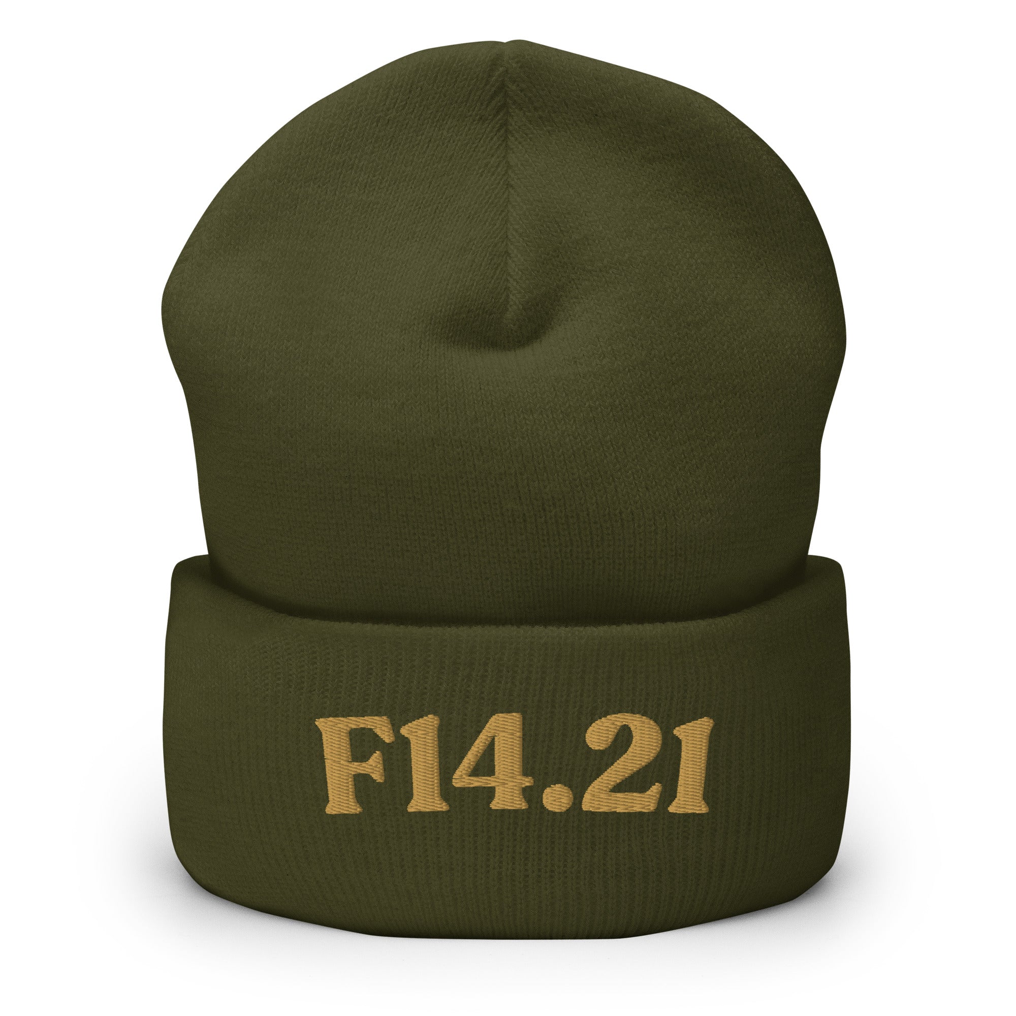 F14.21 cuffed beanie