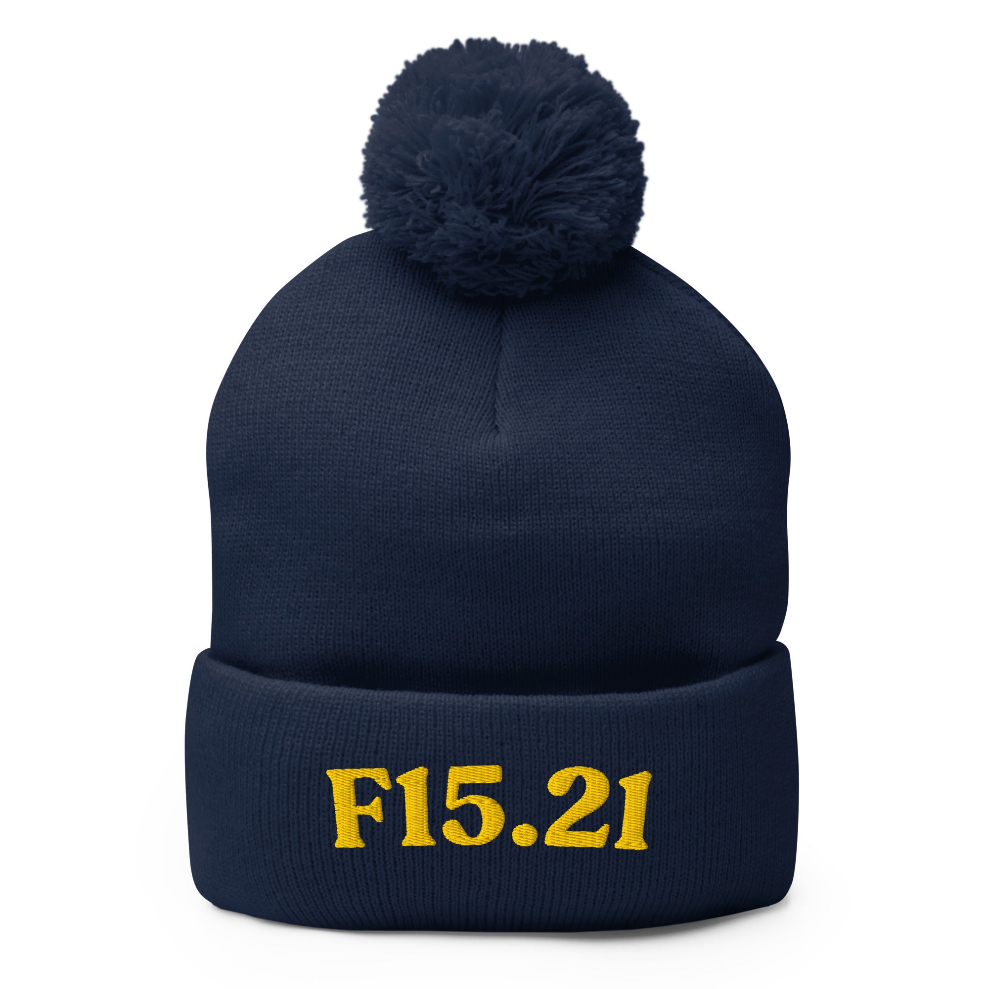 F15.21 Stimulant Use Disorder In Remission: Pom-Pom Beanie
