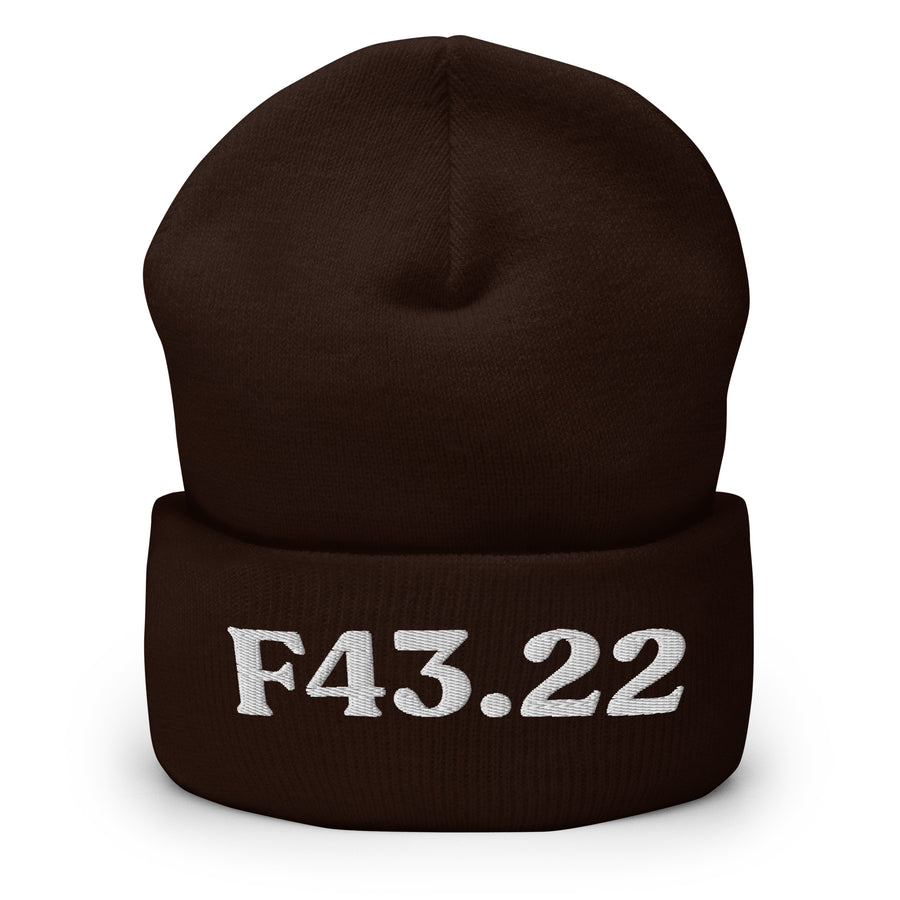 F43.22 Adjustment Disorder With Anxiety: Cuffed Beanie