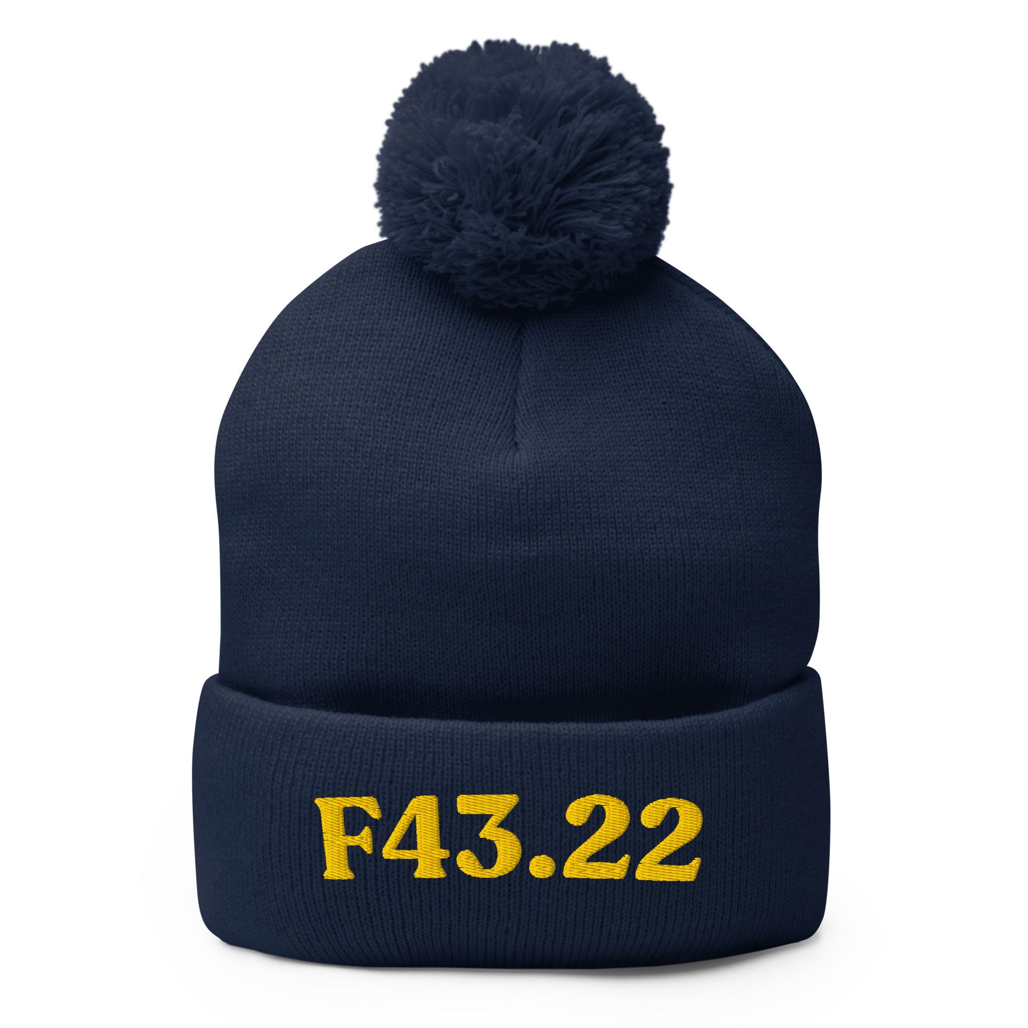 F43.22 Adjustment Disorder With Anxiety: Pom-Pom Beanie