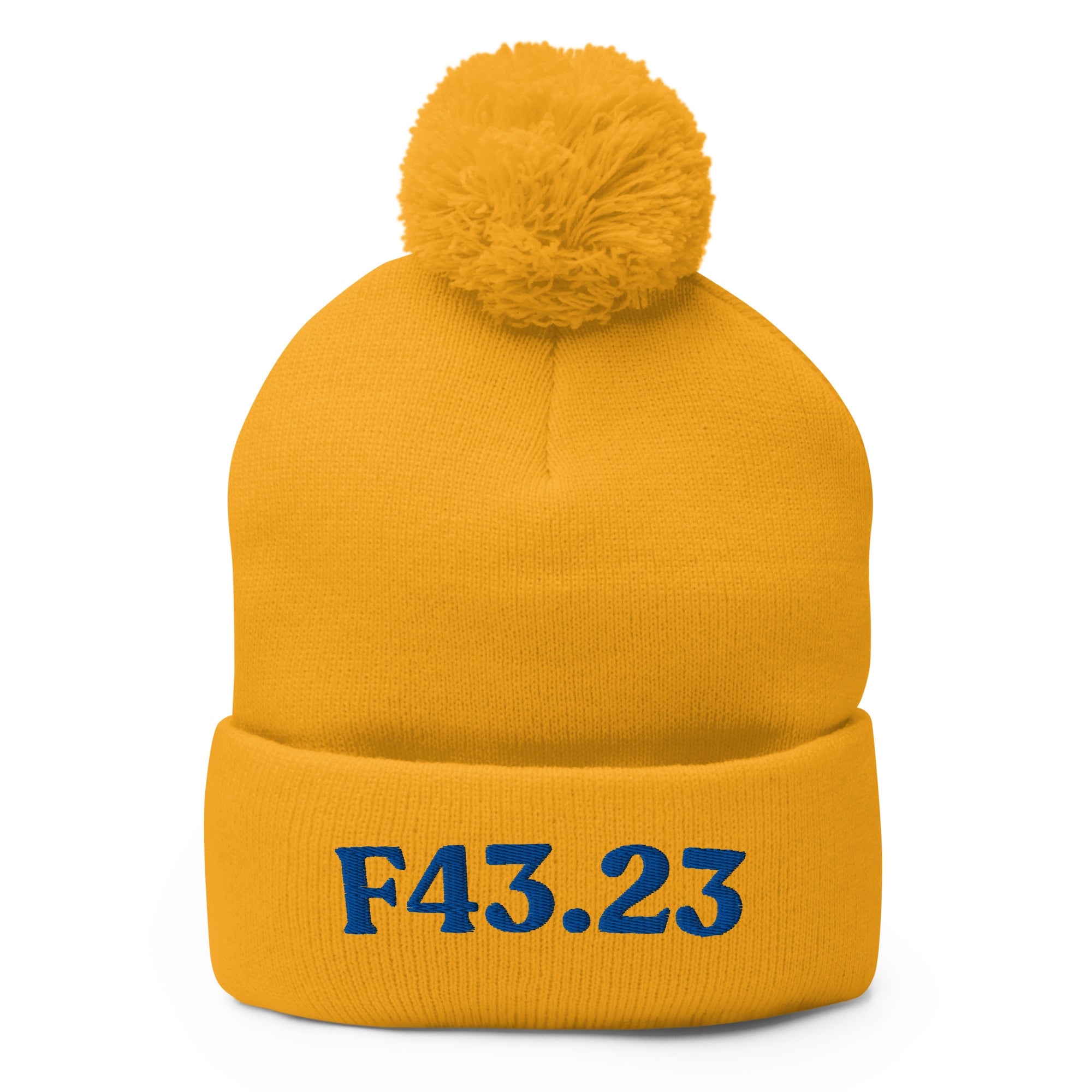 F43.23 Adjustment Disorder With Mixed Anxiety And Depression: Pom-Pom Beanie