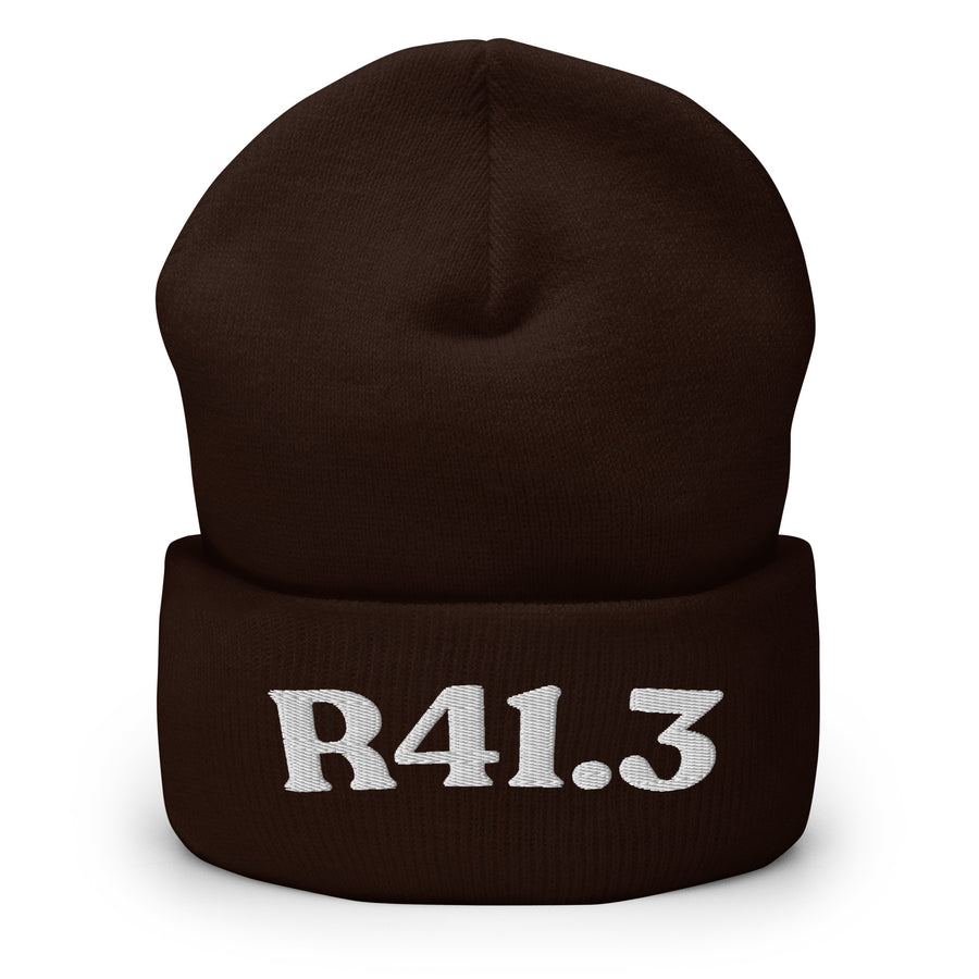 R41.3 Memory Impairment: Cuffed Beanie