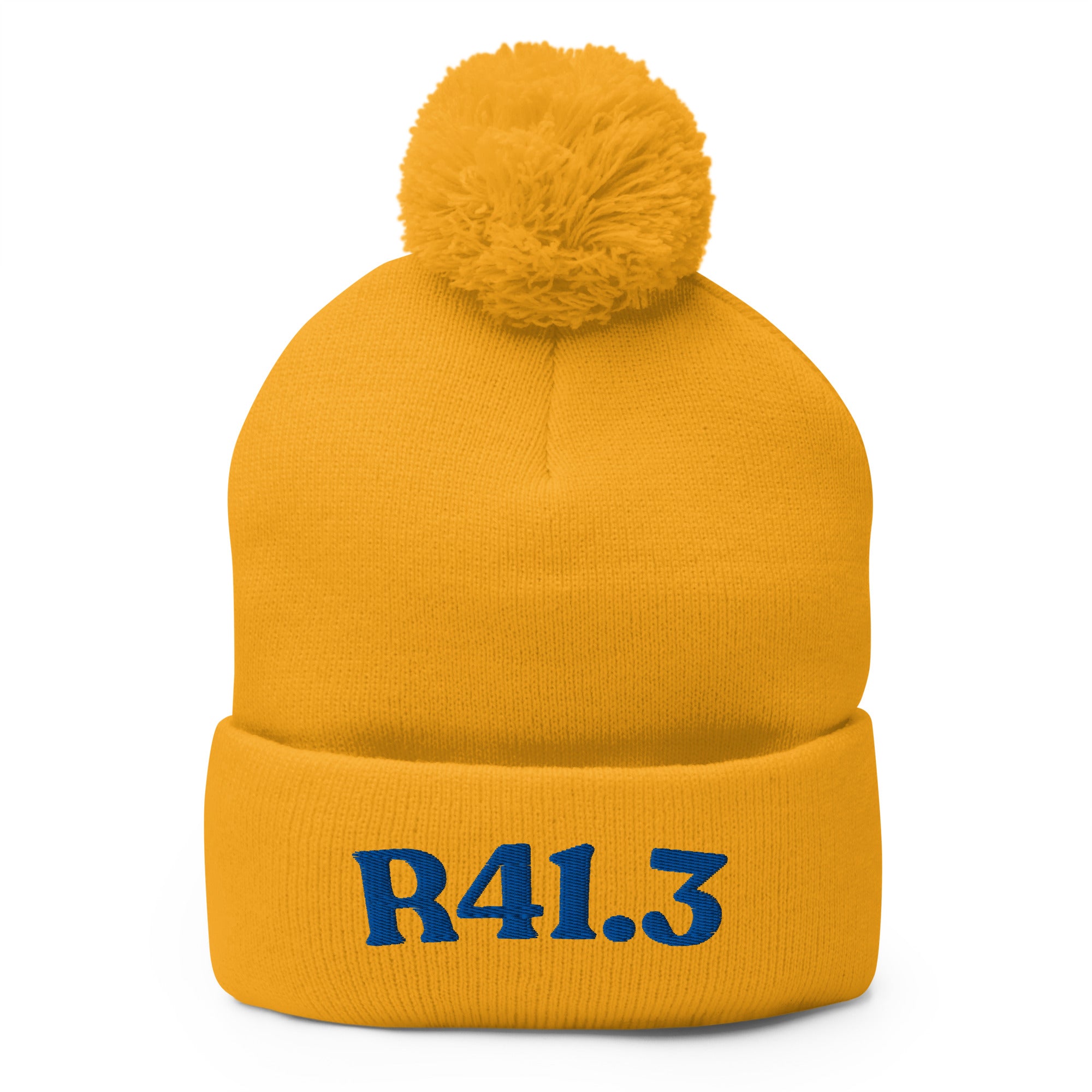 R41.3 Memory Impairment: Pom-Pom Beanie