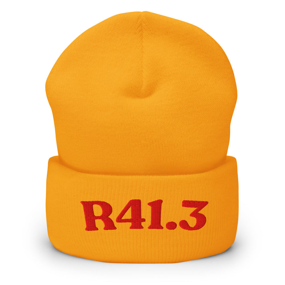 R41.3 | Product 266 | Gold | Red