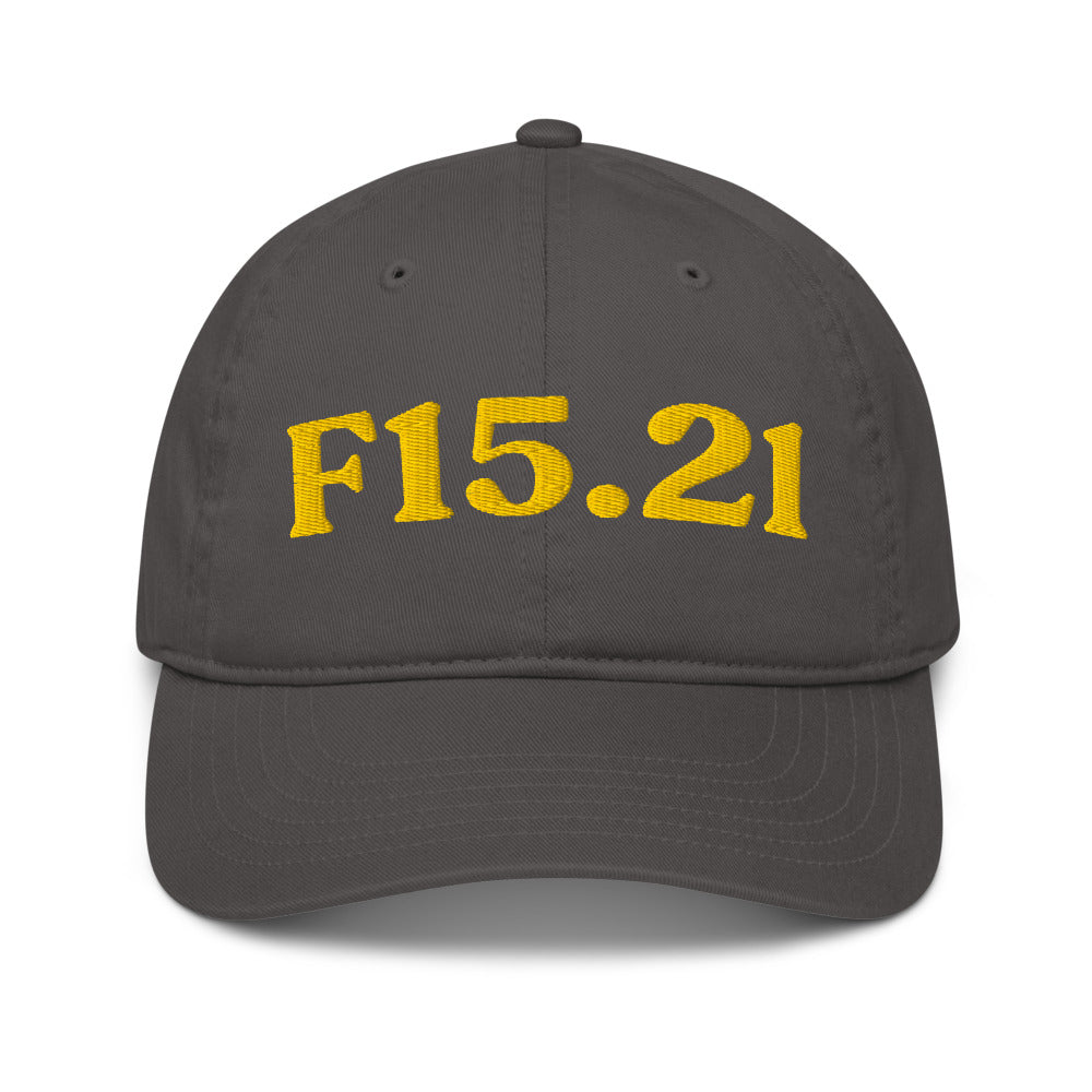 F15.21 Stimulant Use Disorder In Remission - Charcoal / Gold