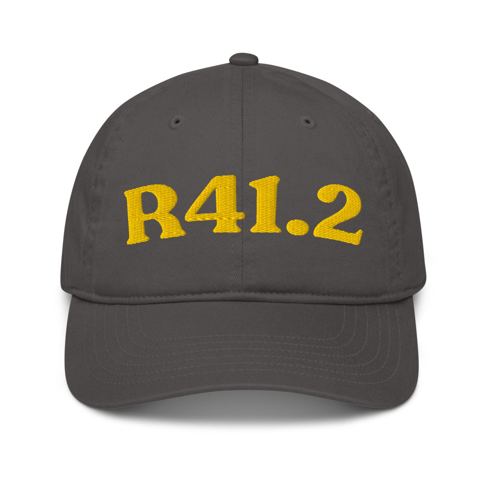 R41.2 Retrograde Amnesia - Charcoal / Gold