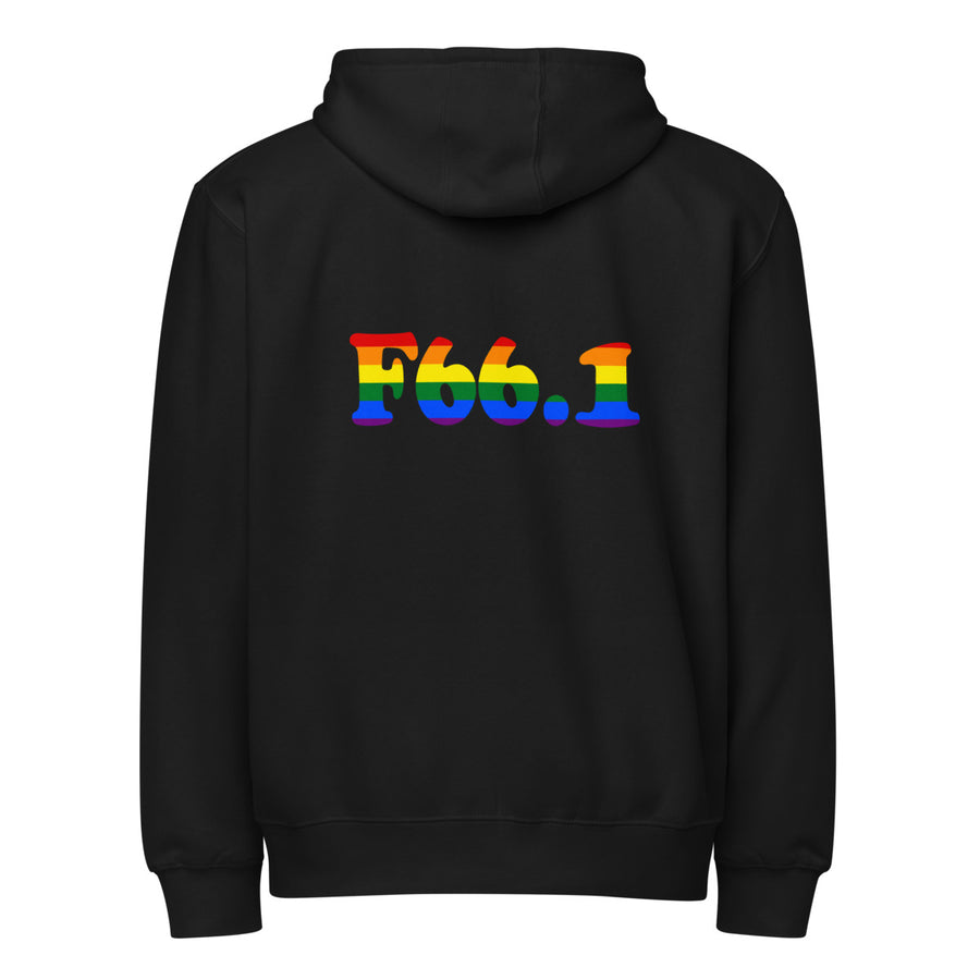 F66.1 Egodystonic Sexual Orientation: 6-Stripe Pride Full-Zip Hoodie