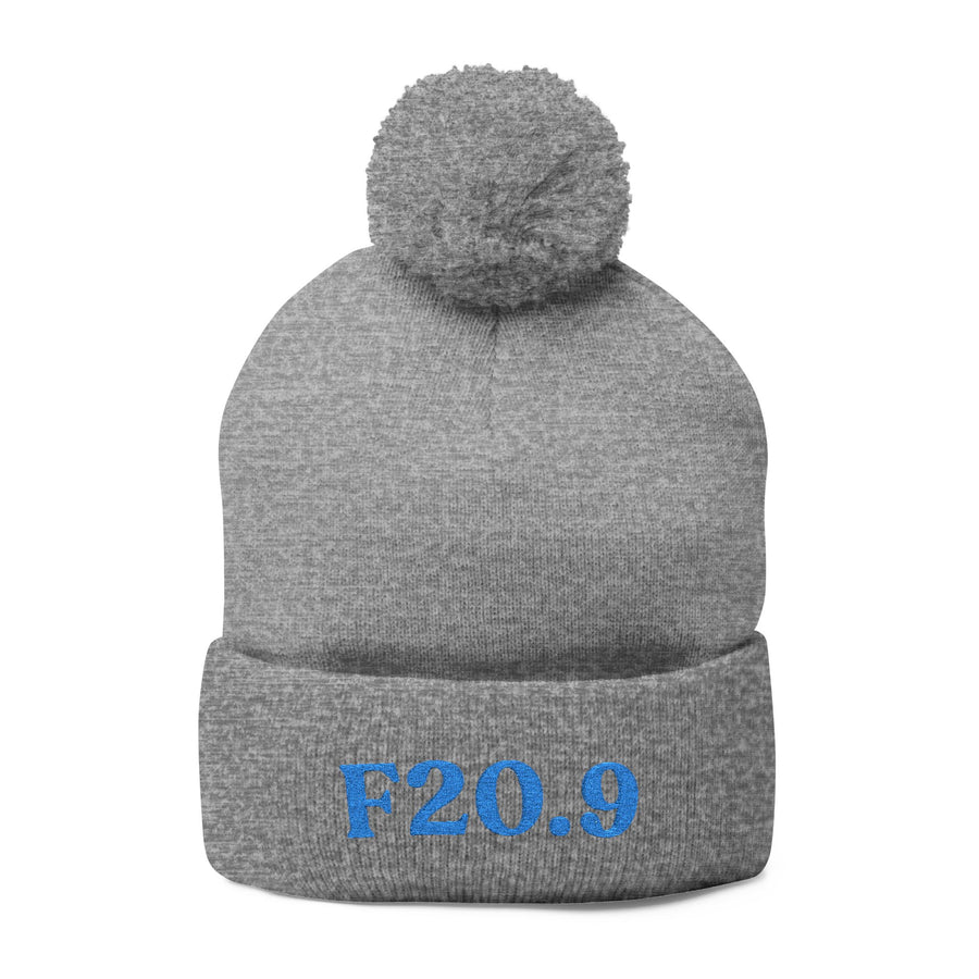 F20.9 Schizophrenia Unspecified: Pom-Pom Beanie