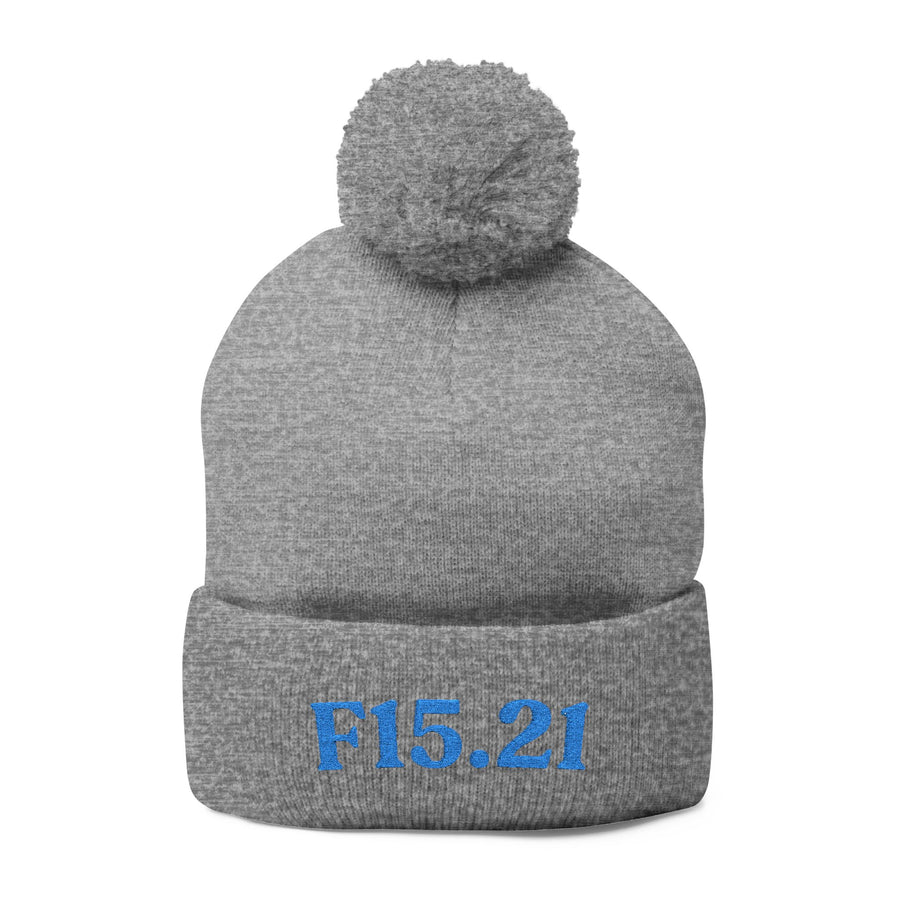 F15.21 Stimulant Use Disorder In Remission: Pom-Pom Beanie