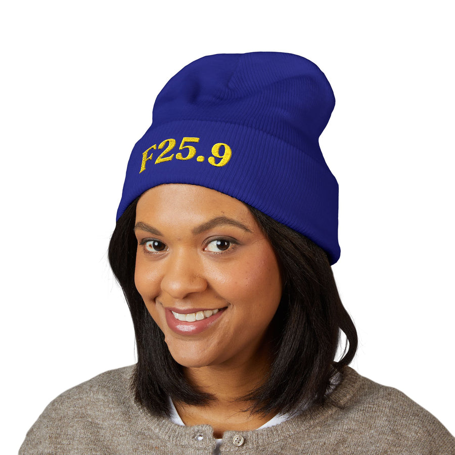 F25.9 Schizoaffective Disorder Unspecified: Cuffed Beanie – hero