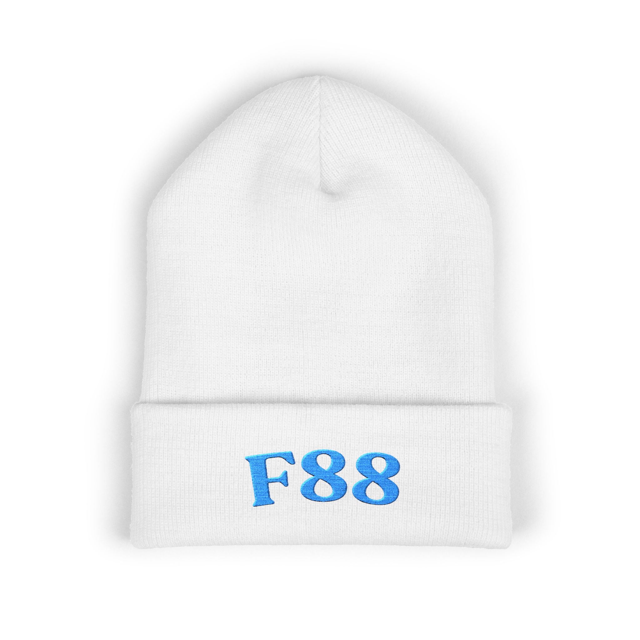 F88 Other Neuro developmental Disorders: Cuffed Beanie