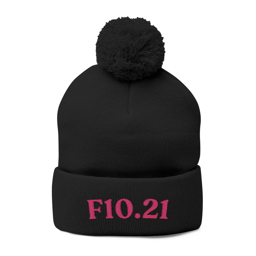 F10.21 Alcohol Use Disorder In Remission: Pom-Pom Beanie – hat preview