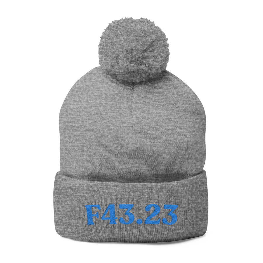 F43.23 Adjustment Disorder With Mixed Anxiety And Depression: Pom-Pom Beanie