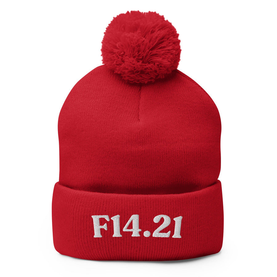 F14.21 Cocaine Use Disorder In Remission: Pom-Pom Beanie