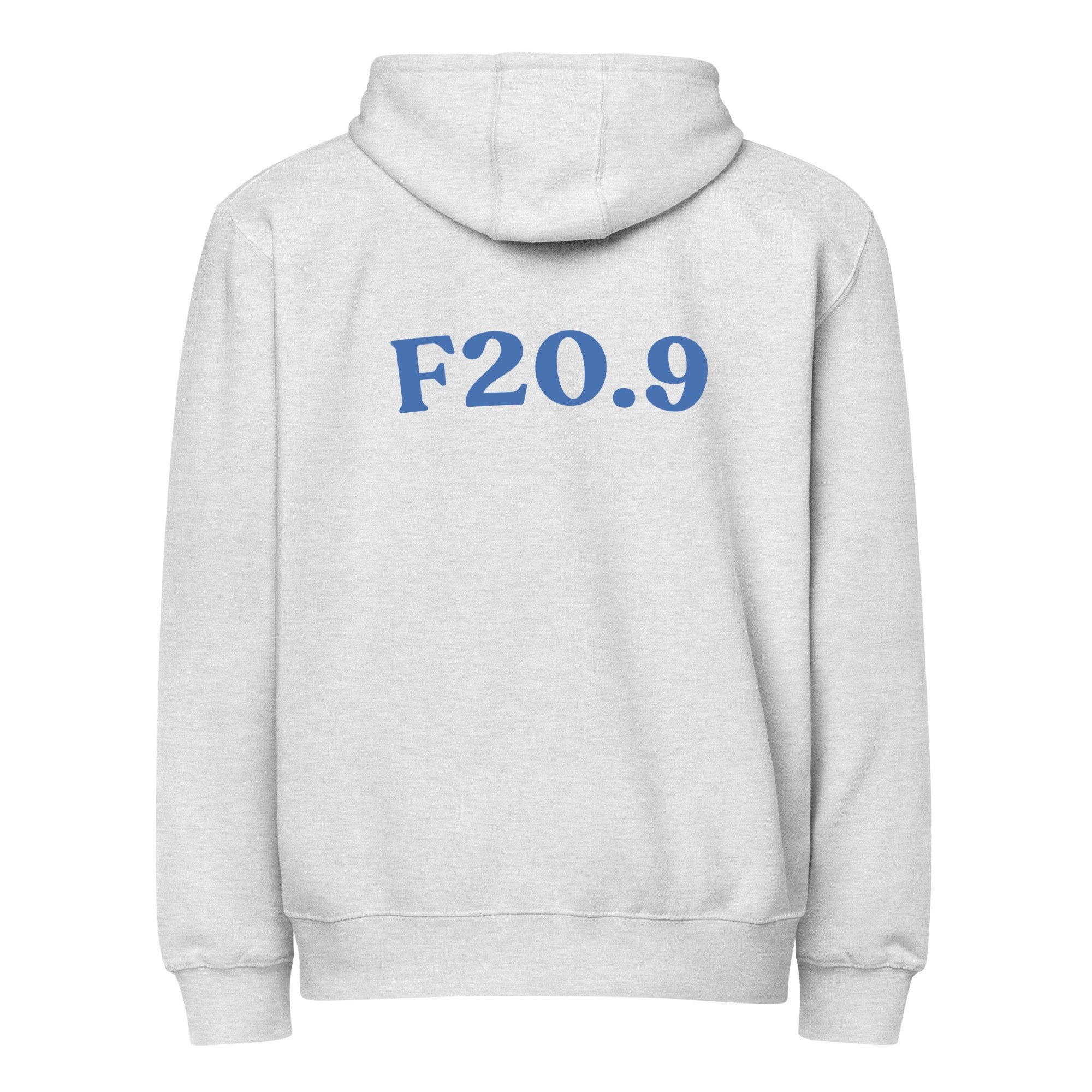 F20.9 | LS14003-back | heather-grey | darker-blue