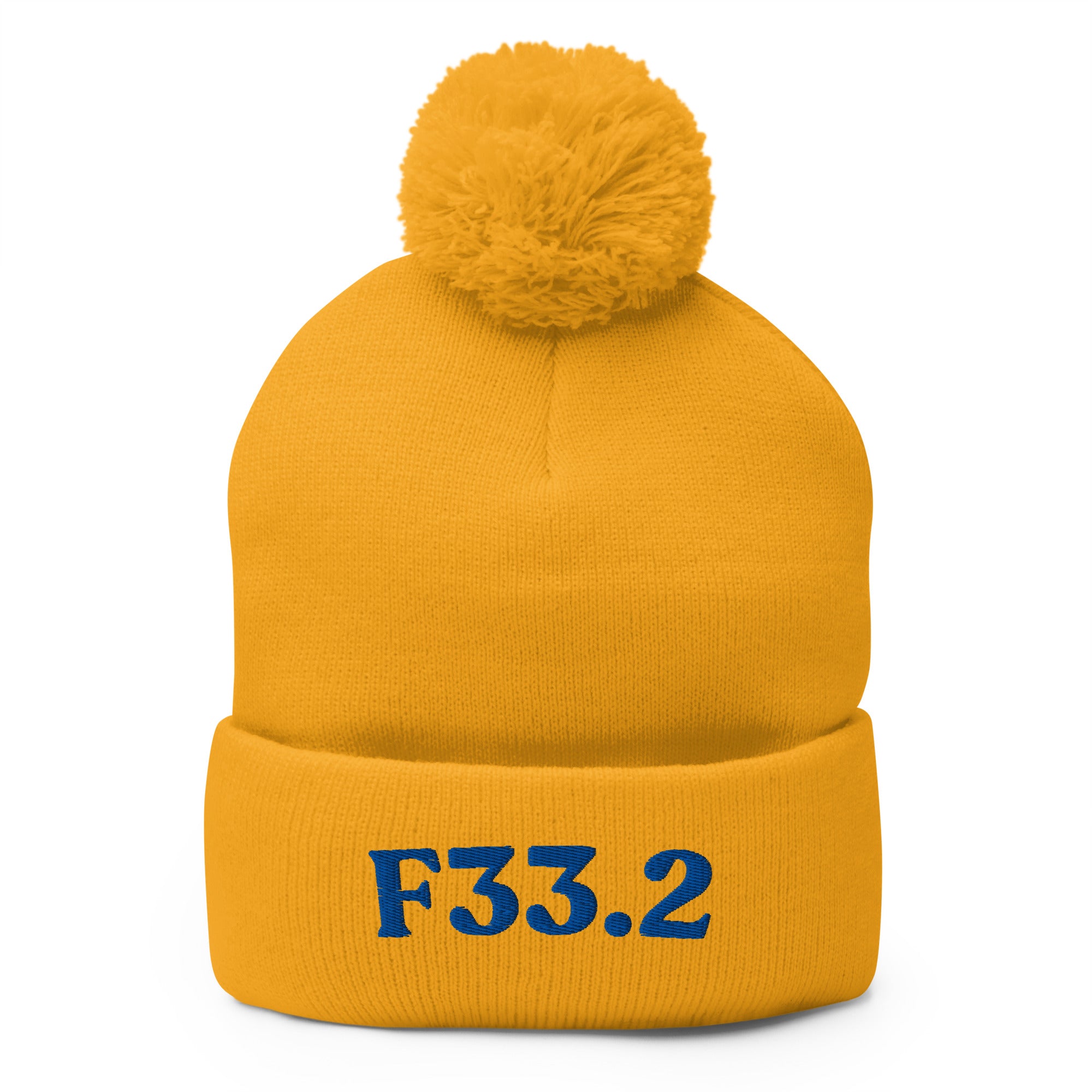 F33.2 Major Depressive Disorder, Recurrent Severe: Pom-Pom Beanie