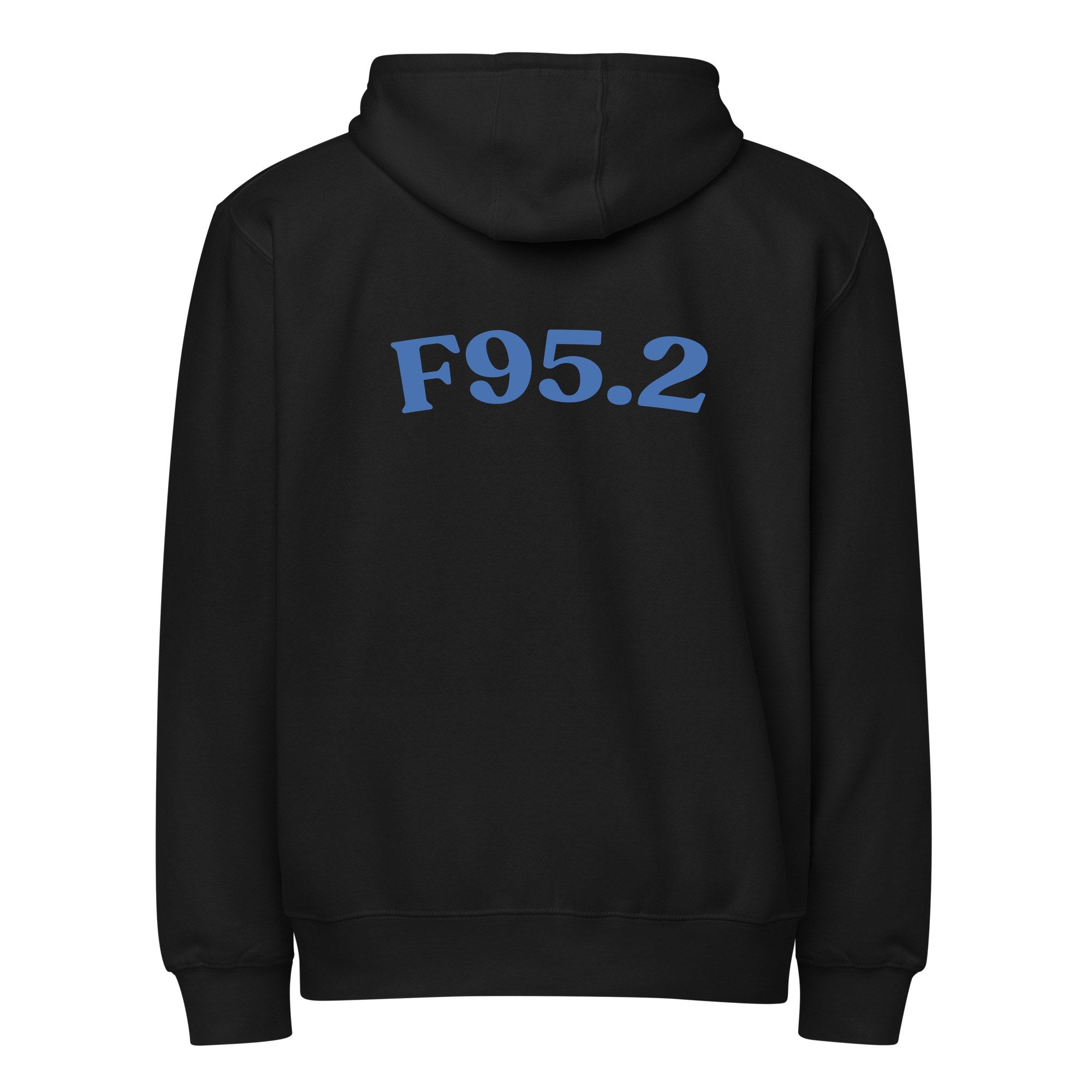 F95.2 | LS14003-back | black | darker-blue