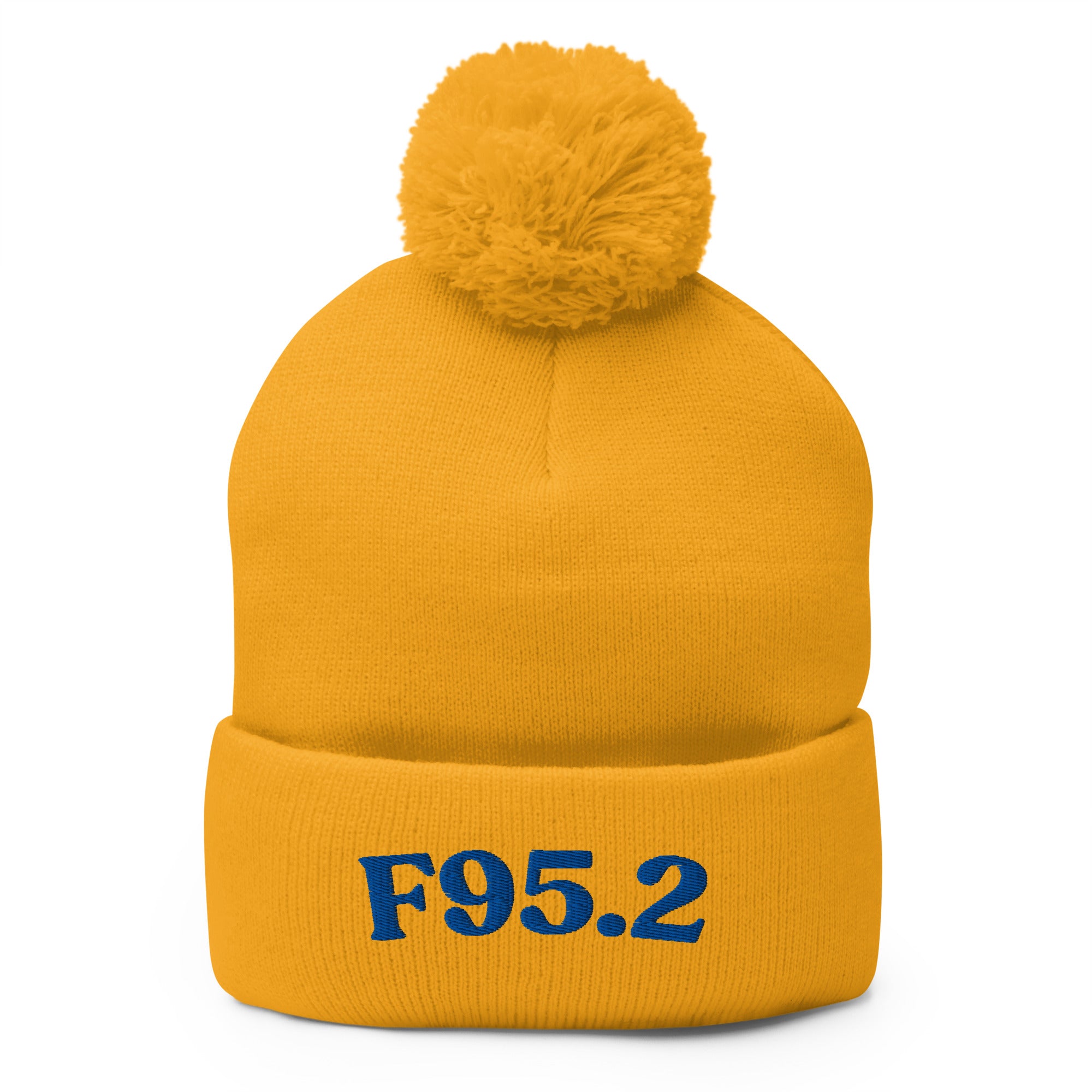 F95.2 Tourette Syndrome: Pom-Pom Beanie