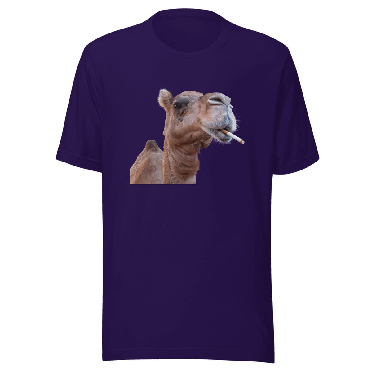 Hump Day — Unisex / Team Purple