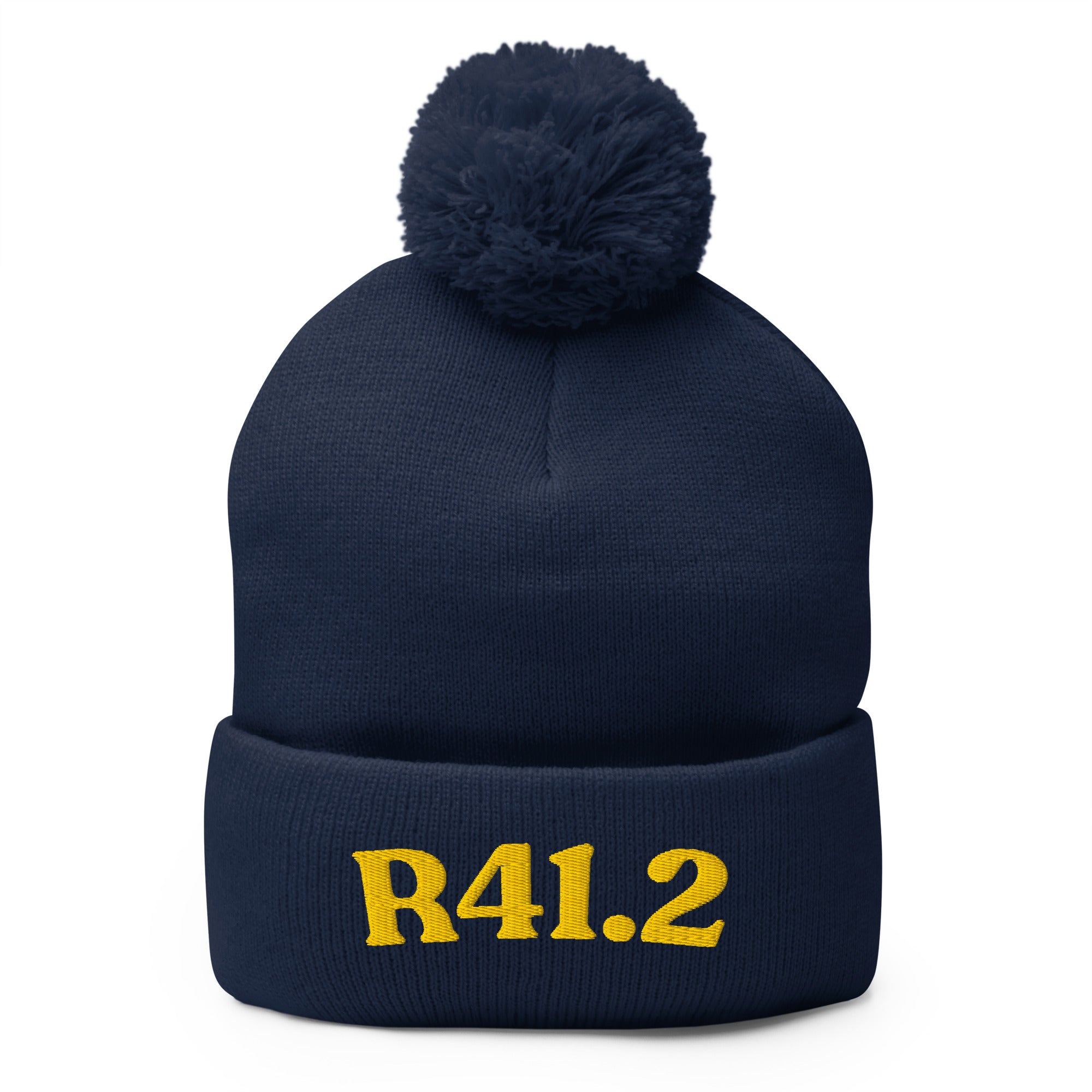 R41.2 Retrograde Amnesia: Pom-Pom Beanie