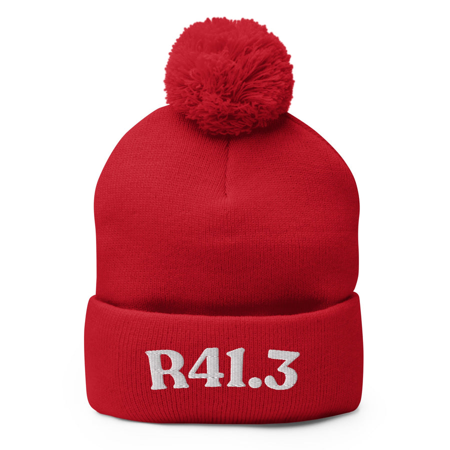 R41.3 Memory Impairment: Pom-Pom Beanie