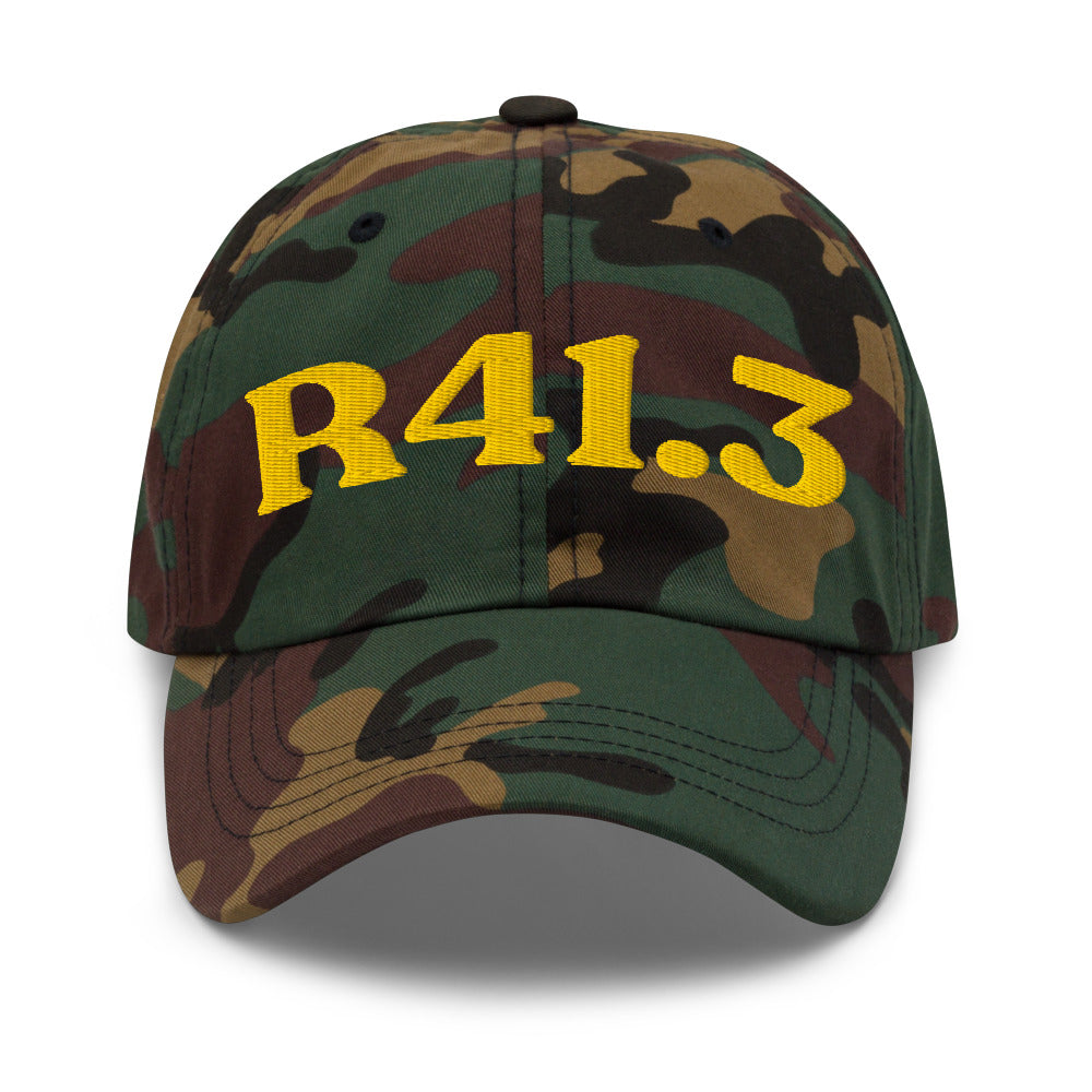 R41.3 Memory Impairment - Green Camo / Gold