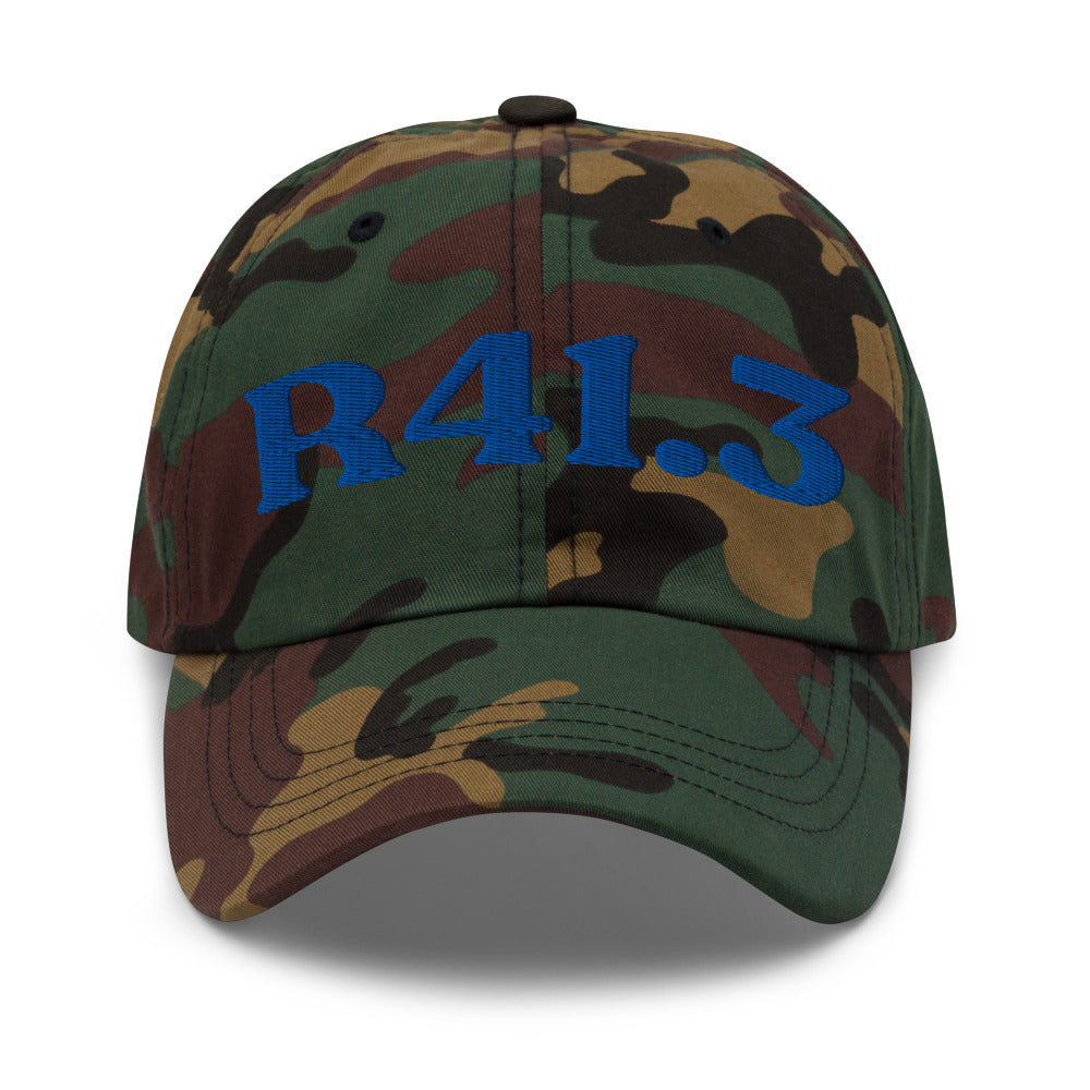 R41.3 Memory Impairment - Green Camo / Royal