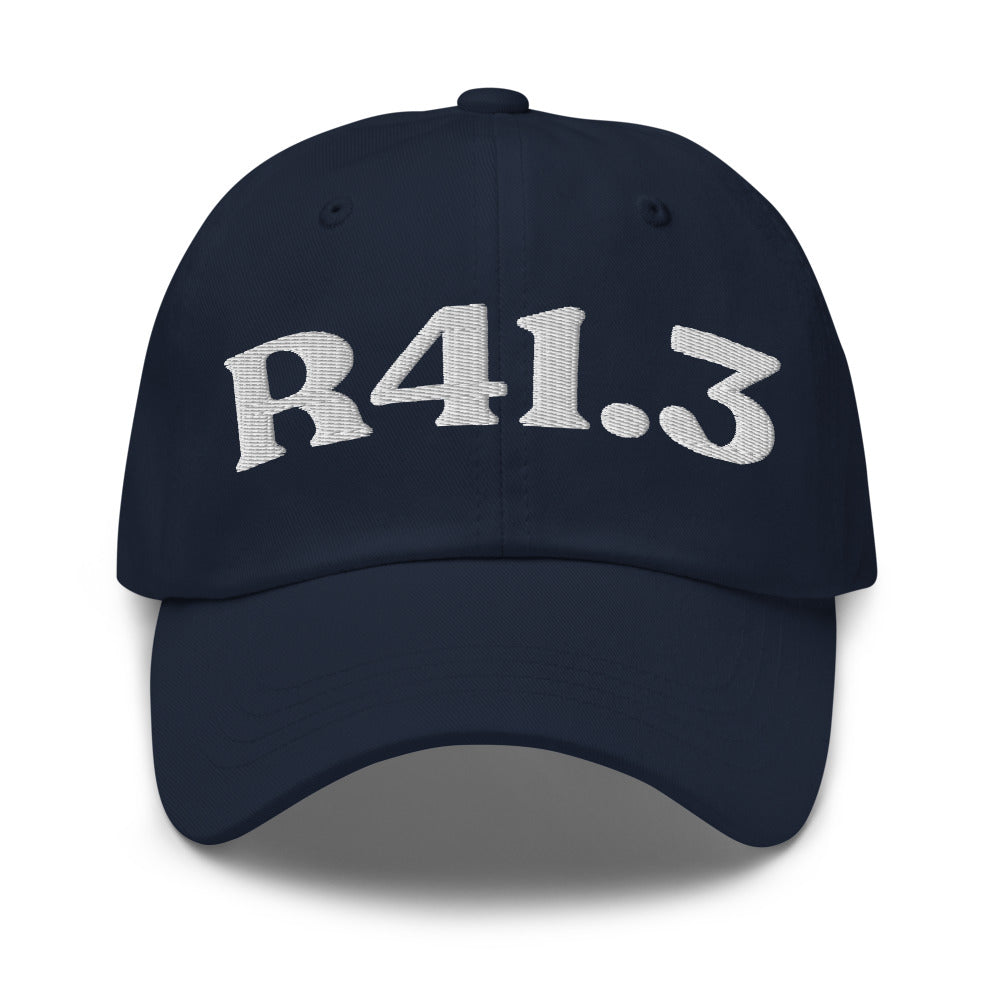 R41.3 Memory Impairment - Navy / White