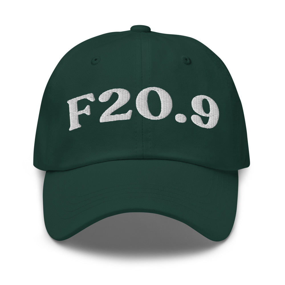 F20.9 Schizophrenia - Spruce / White