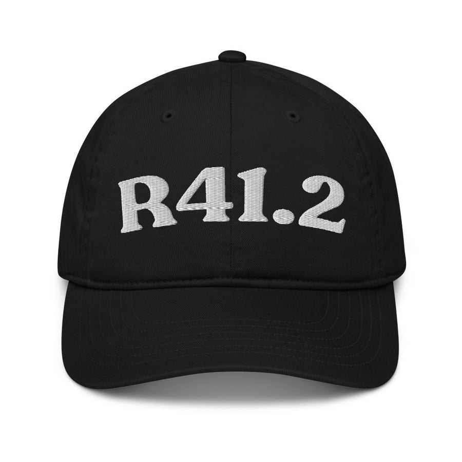 R41.2 Retrograde Amnesia: Organic Baseball Cap – hat preview