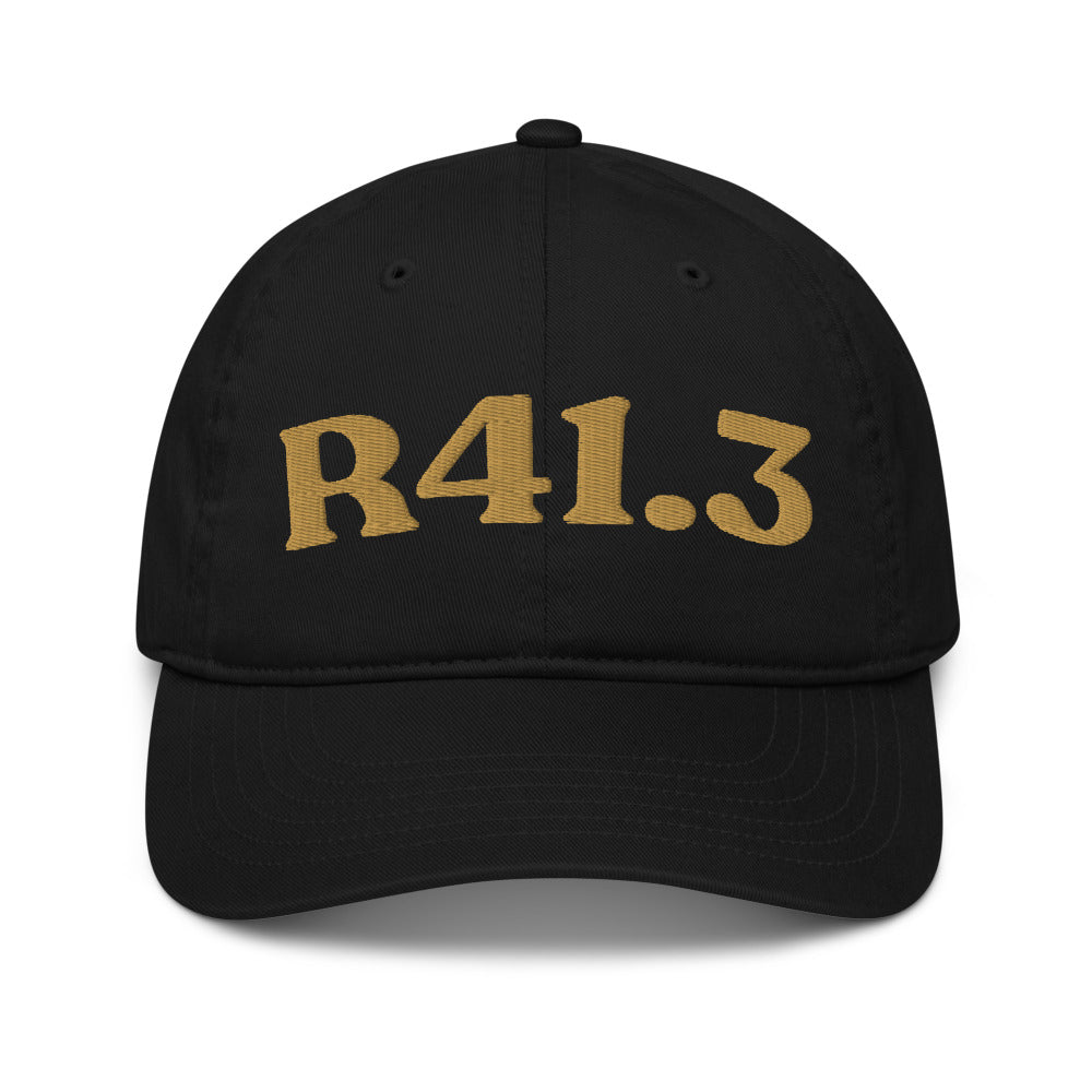 R41.3 Memory Impairment - Black / Old Gold