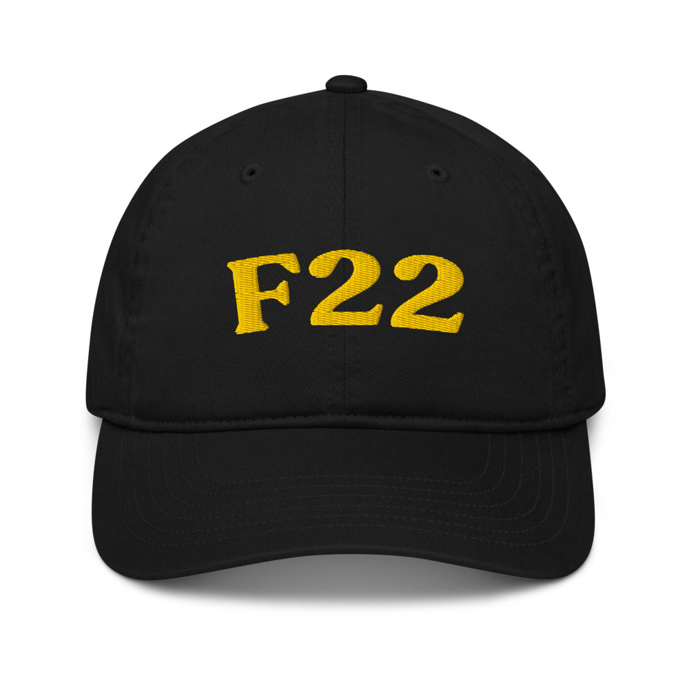 F22 Delusional Disorder - Black / Gold