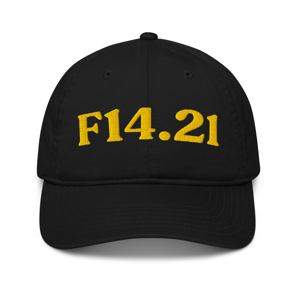 F14.21 Cocaine Use Disorder In Remission - Black / Gold
