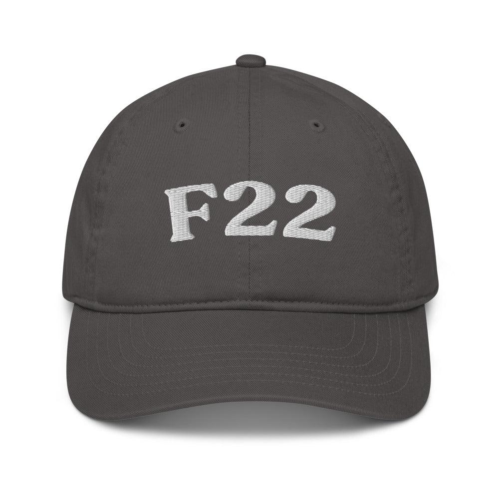 F22 Delusional Disorder - Charcoal / White