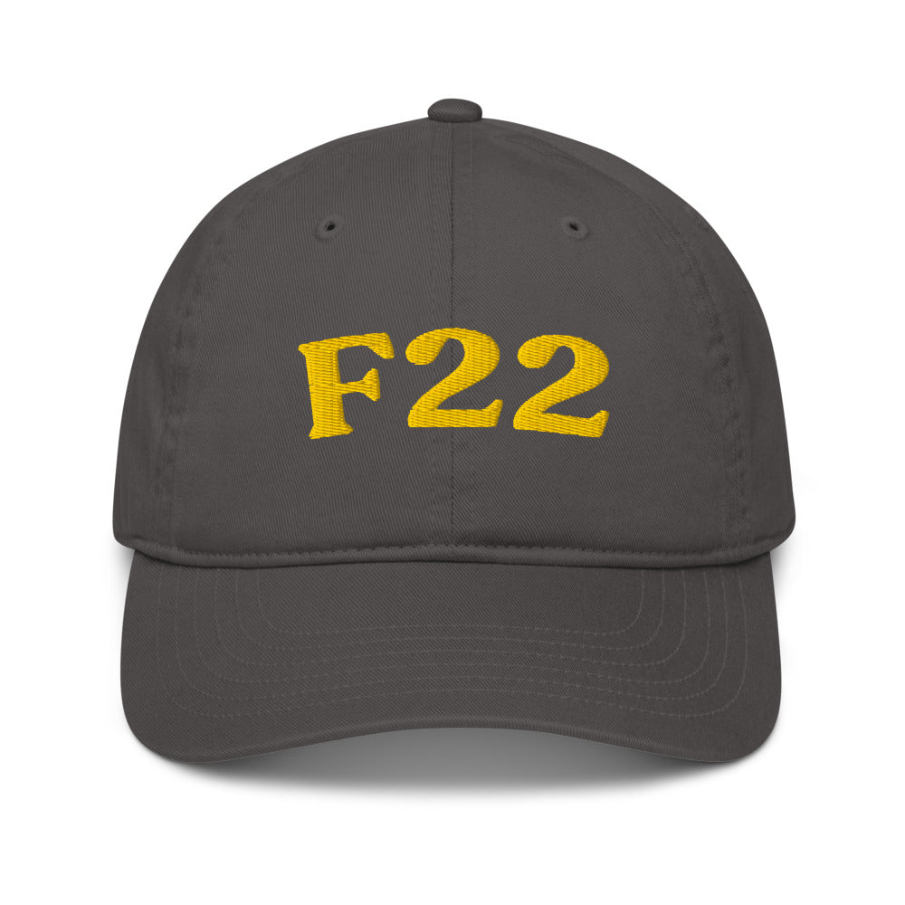 F22 Delusional Disorder - Charcoal / Gold