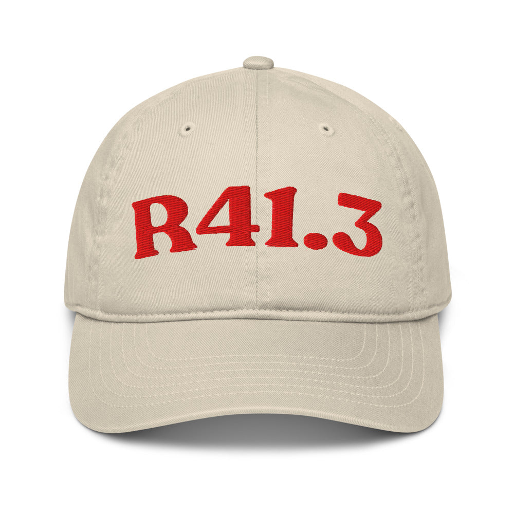 R41.3 Memory Impairment - Oyster / Red