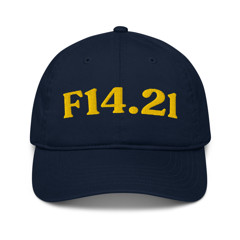 F14.21 Cocaine Use Disorder In Remission - Pacific / Gold